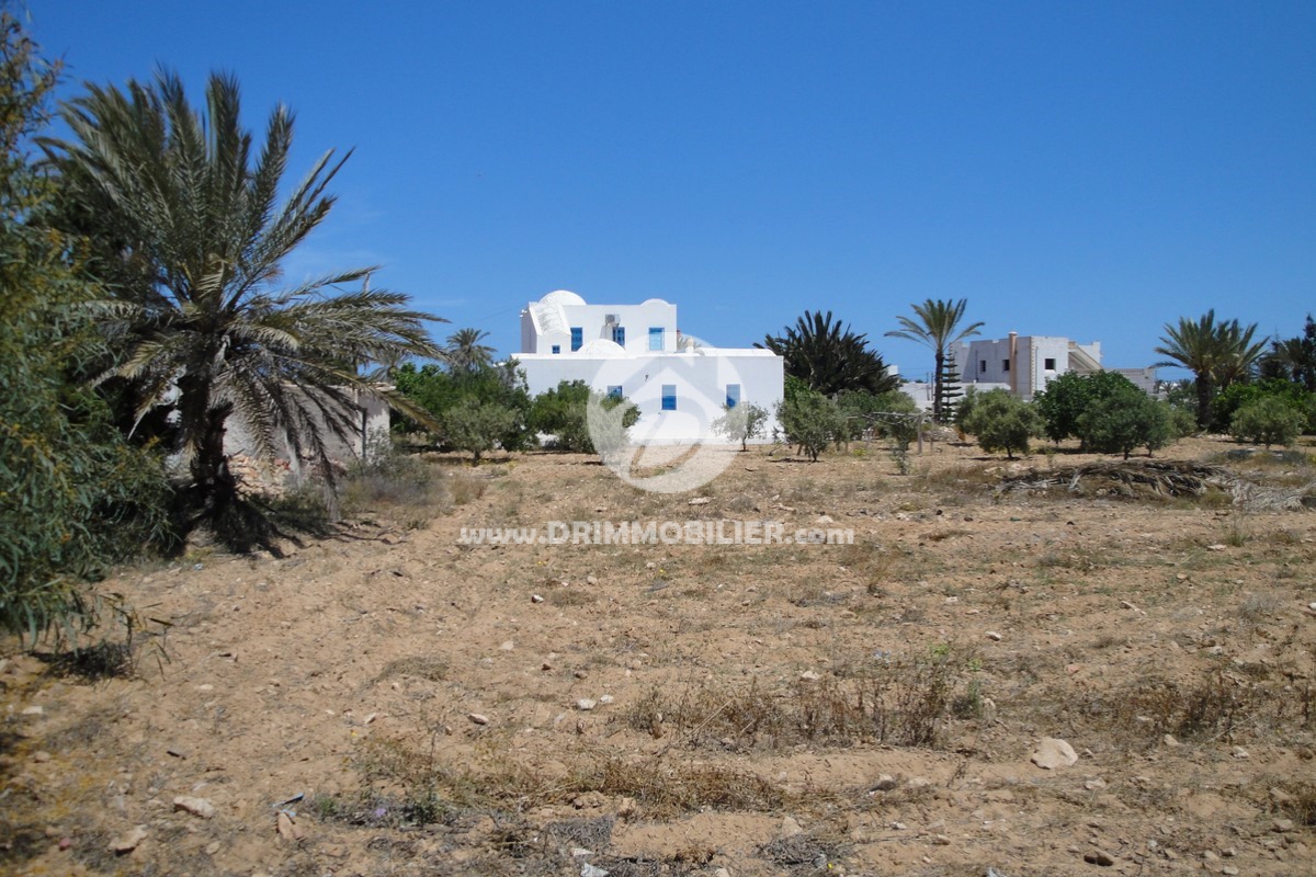 V 018 -   Villa Meublé Djerba